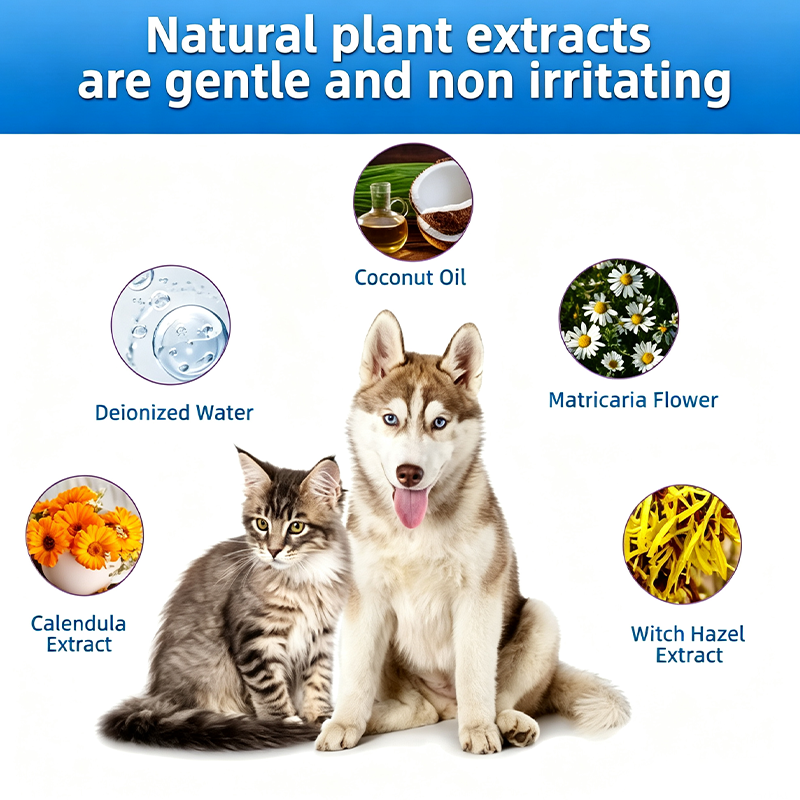 Buy 1 Get 1 Free 🔥Gentle Pet Ear Wash | Odor-Free Cleaning for Dogs & Cats🐾