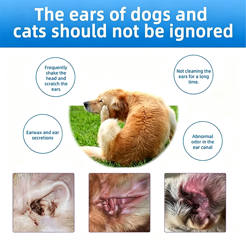 Buy 1 Get 1 Free 🔥Gentle Pet Ear Wash | Odor-Free Cleaning for Dogs & Cats🐾